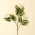 Load image into Gallery viewer, Locust Flower Branch