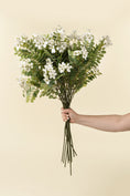 Load image into Gallery viewer, Locust Flower Branch