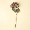 Load image into Gallery viewer, Hydrangea Floral Stem - Faded Purple