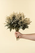 Load image into Gallery viewer, Primue Eucalyptus Spray
