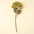 Load image into Gallery viewer, Hydrangea Floral Stem - Faded Green