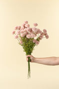 Load image into Gallery viewer, Mini Chrysanthemum Stem