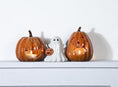 Load image into Gallery viewer, Ghost w/ jack-o-lantern
