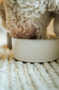 Load image into Gallery viewer, Pottery Pet Bowl
