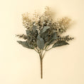 Load image into Gallery viewer, Primue Eucalyptus Spray
