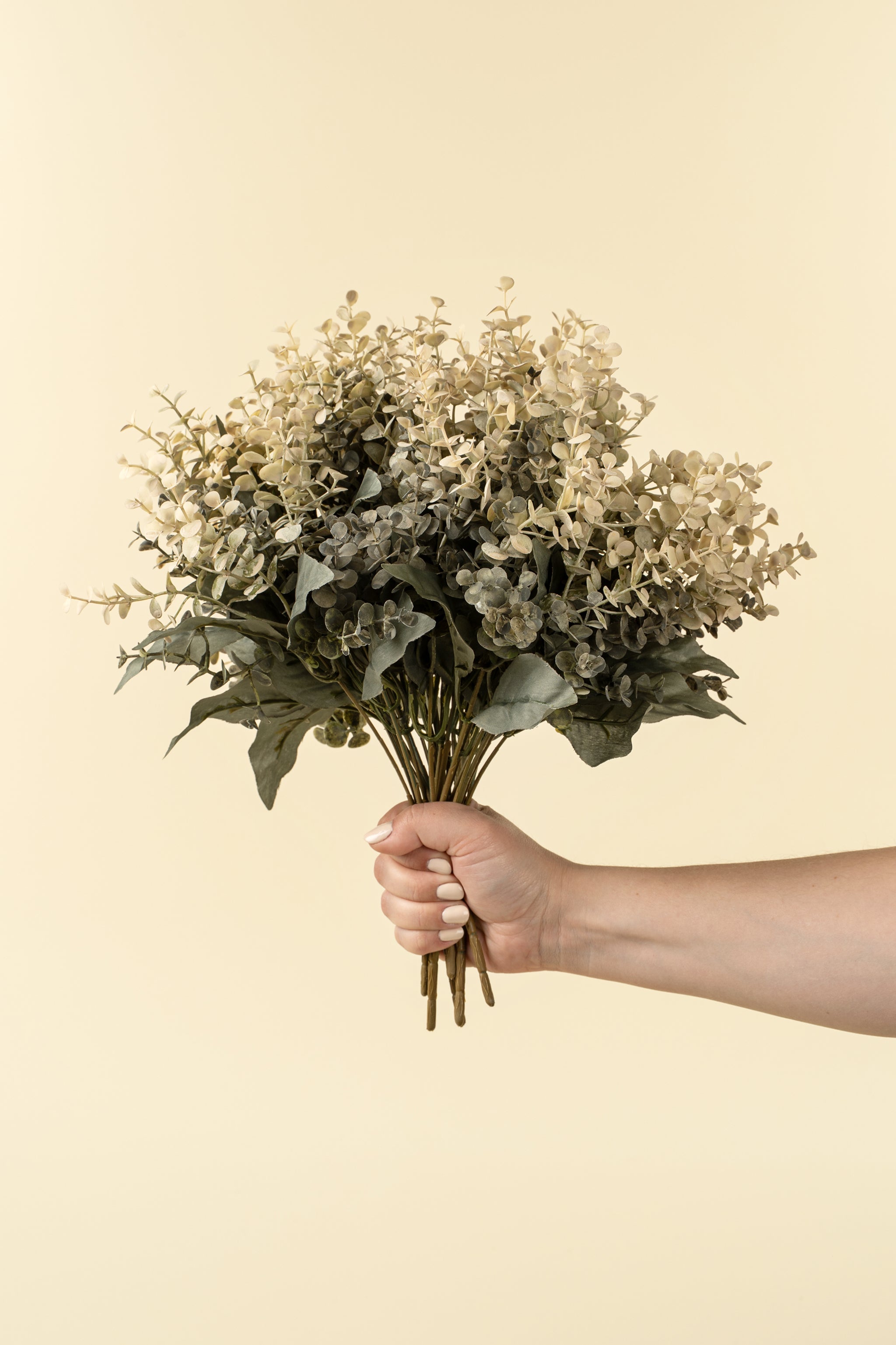Primue Eucalyptus Spray