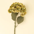 Load image into Gallery viewer, Hydrangea Floral Stem - Faded Green

