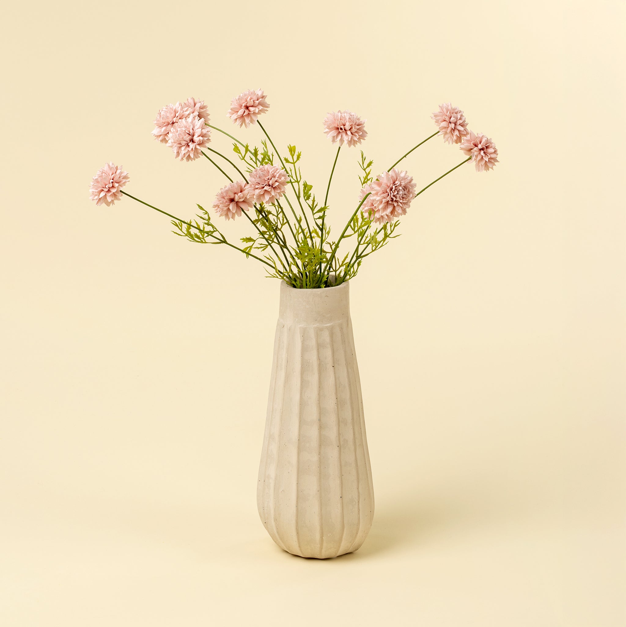 Mini Chrysanthemum Stem
