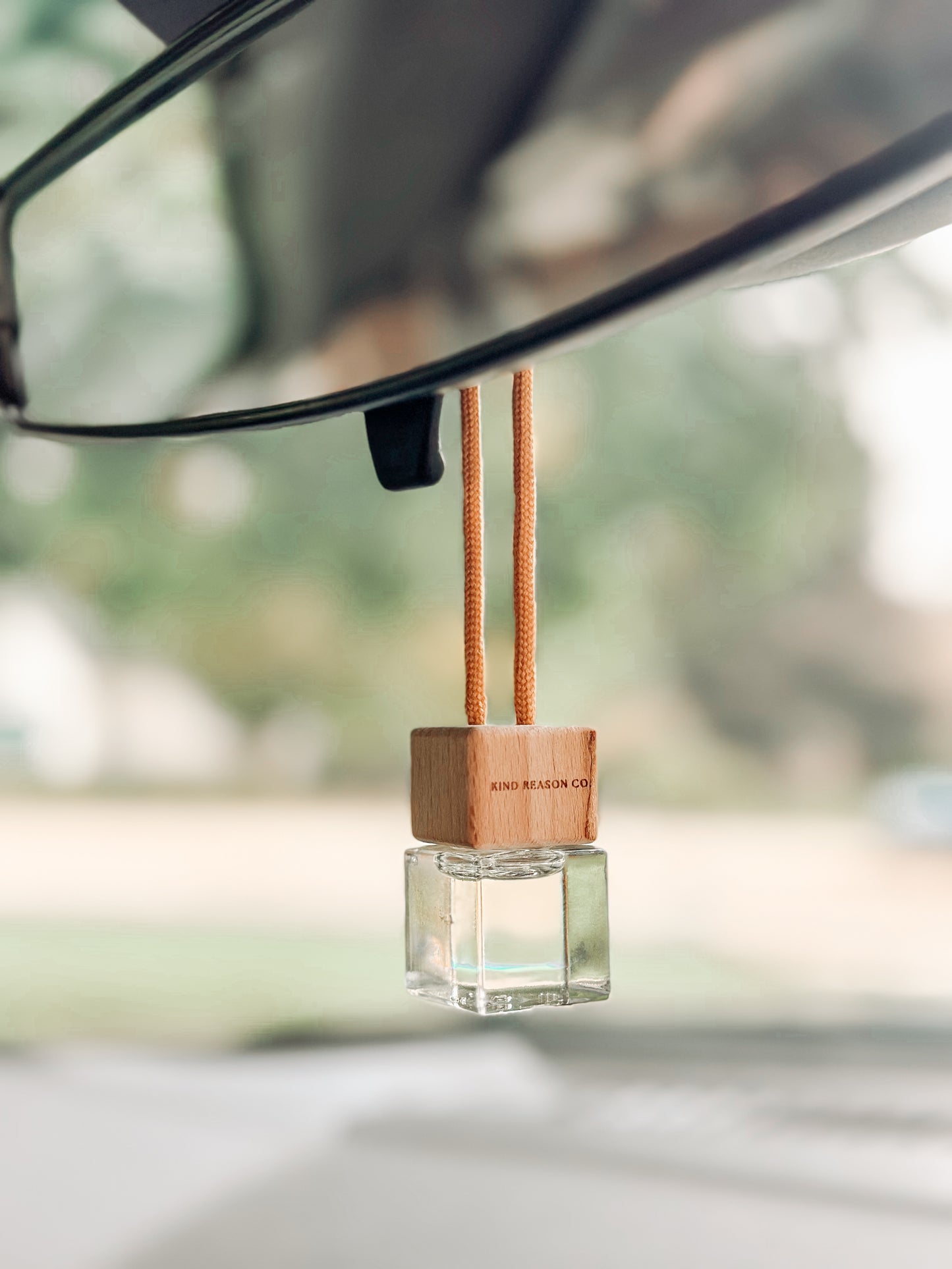 Hanging Travel Diffuser