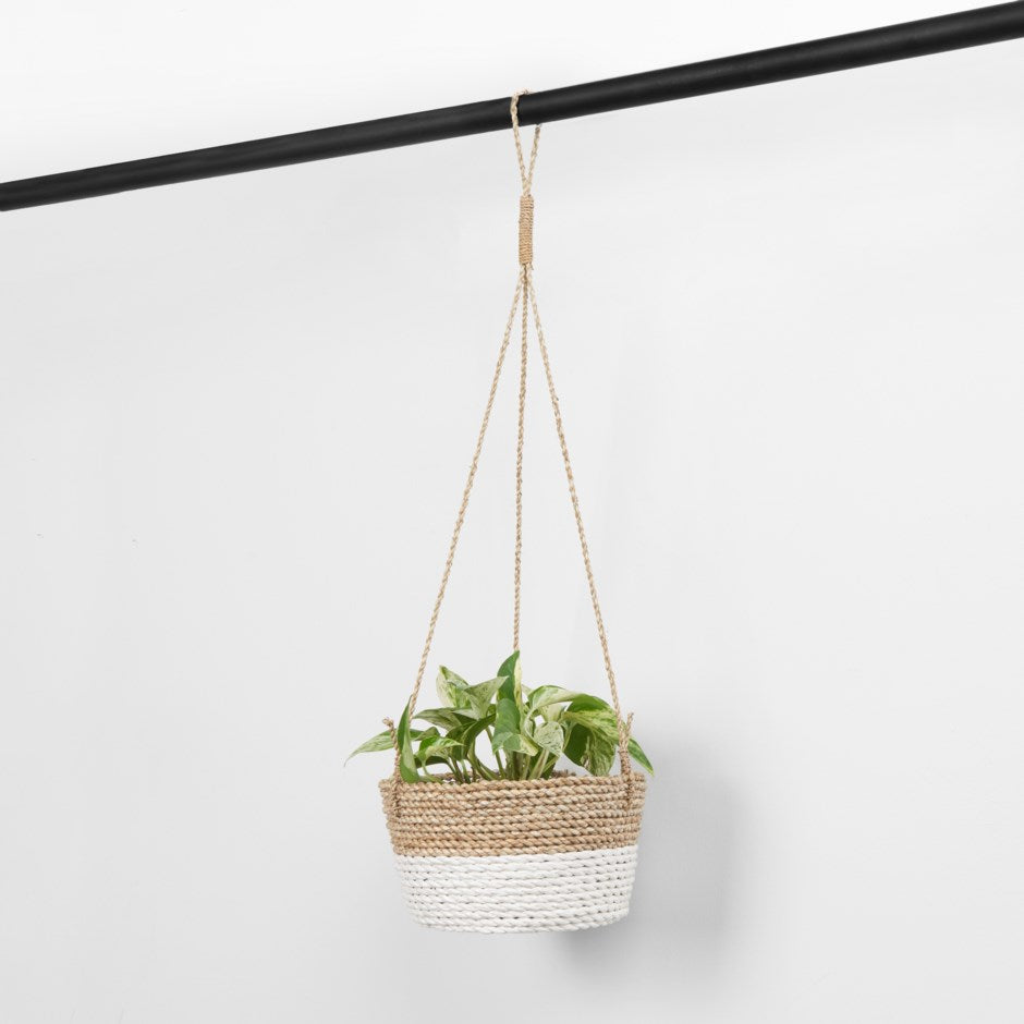 Classic Hanging Basket - White / Natural-Kind Reason Co.