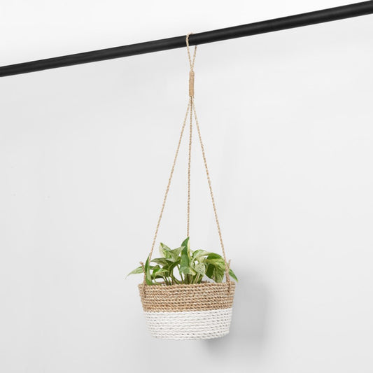 Classic Hanging Basket - White / Natural-Kind Reason Co.