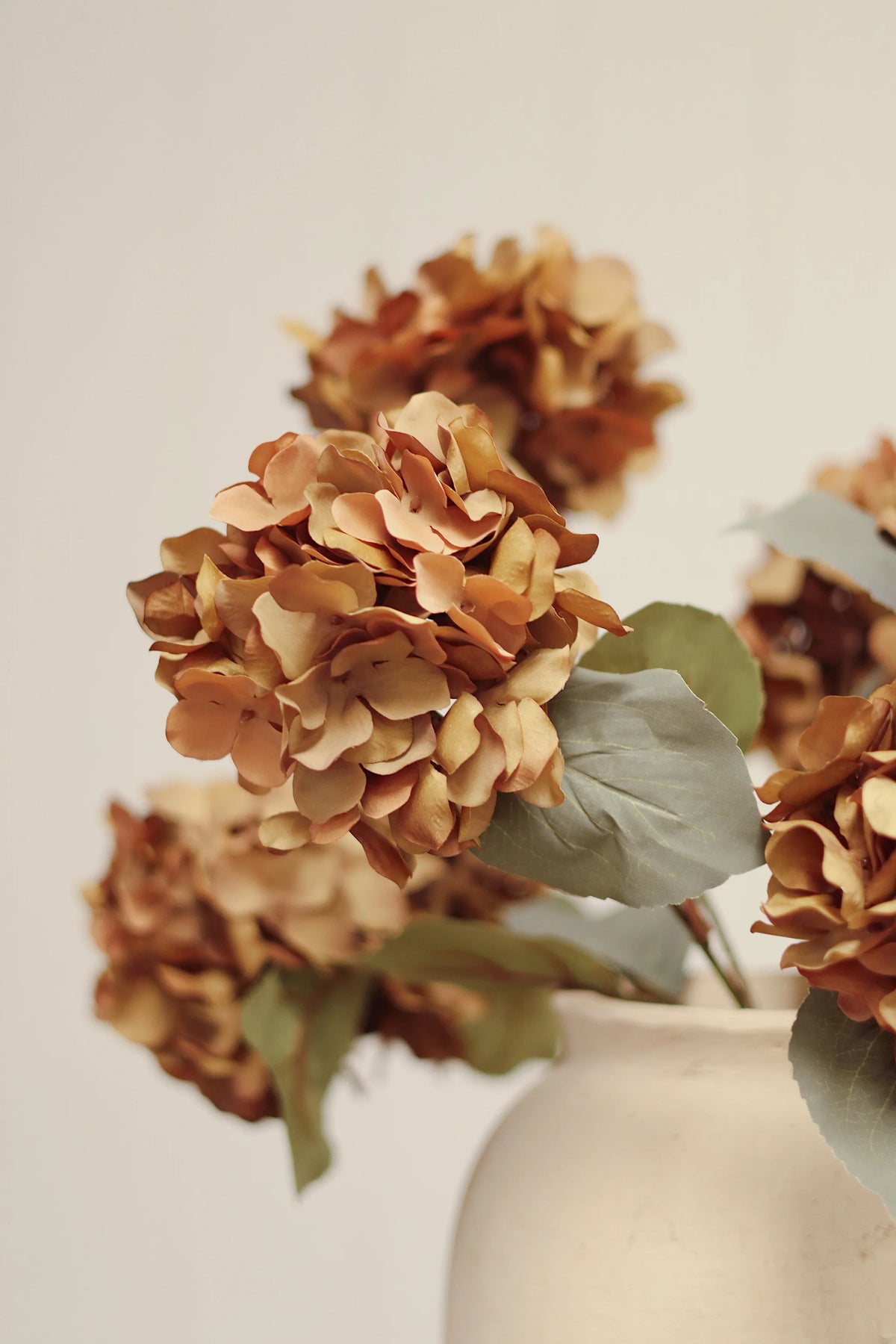 Autumn Hydrangea - Burnt Orange