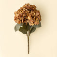 Load image into Gallery viewer, Autumn Hydrangea - Burnt Orange

