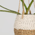 Load image into Gallery viewer, Hanging Pot Basket - White / Natural-Kind Reason Co.
