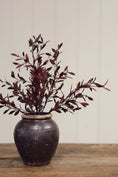 Load image into Gallery viewer, Willow Leaf Spray
